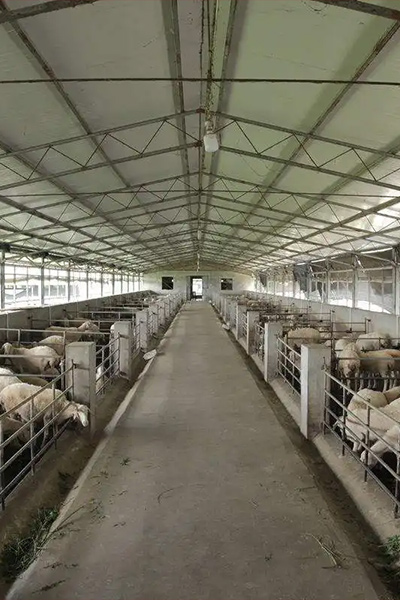 食品屠宰領(lǐng)域 